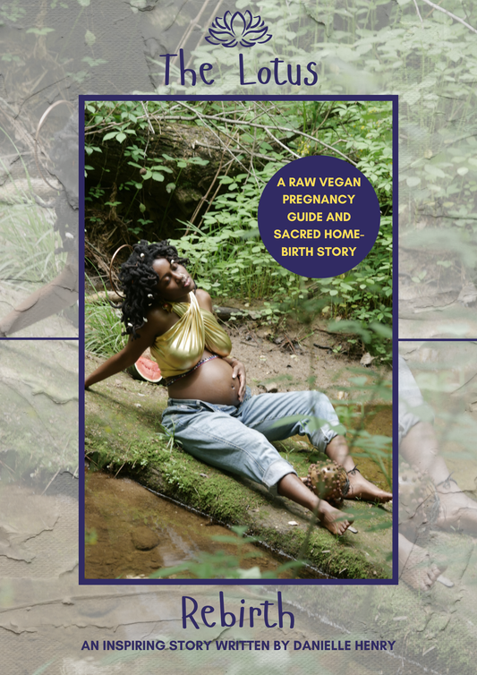 The Lotus Rebirth: A Raw Vegan Pregnancy Guide & Inspiring Home-Birth Story (eBook)