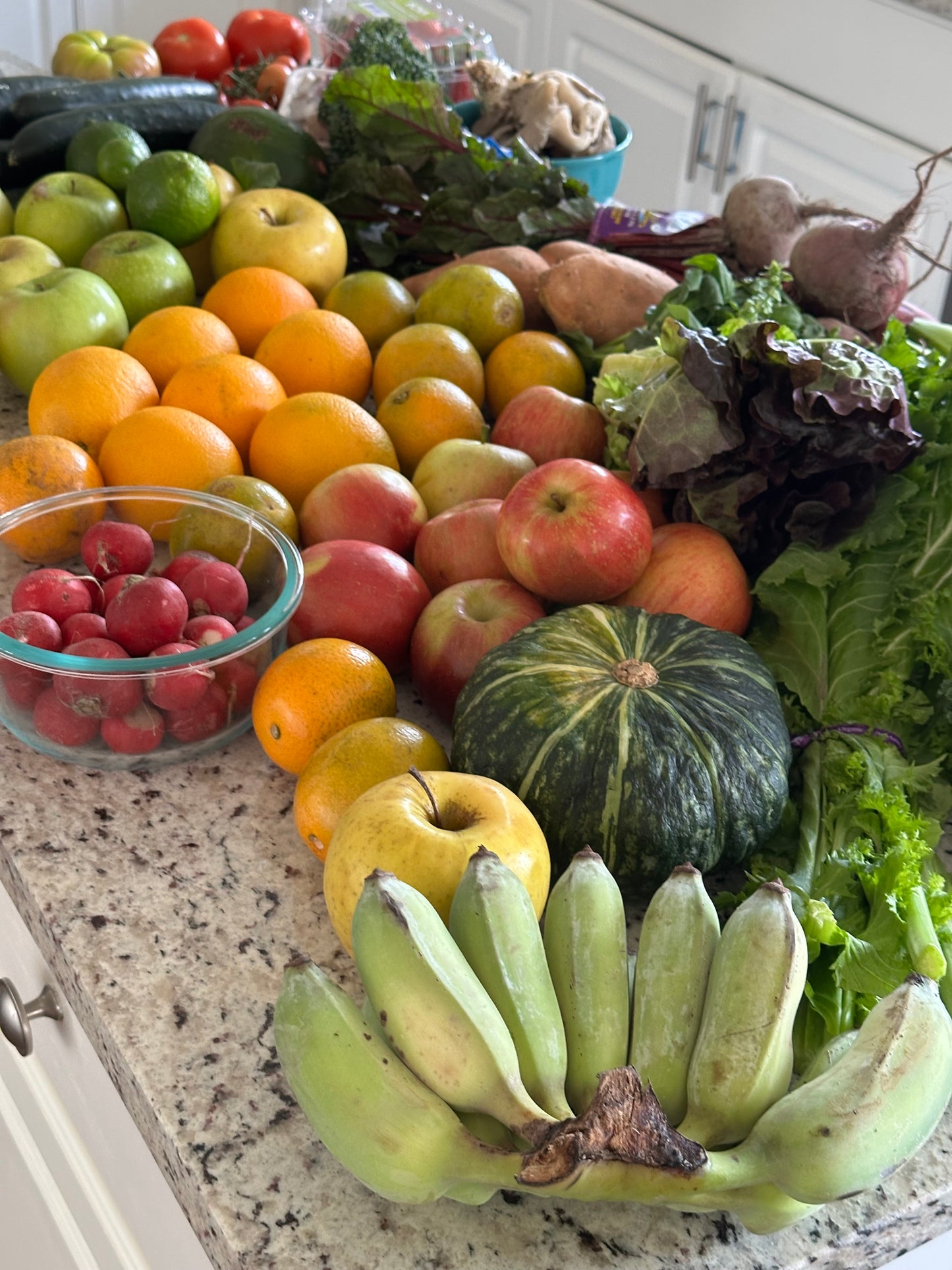 SAN DIEGO Raw & Ripe Picnic in the Park: July 26th, 2025